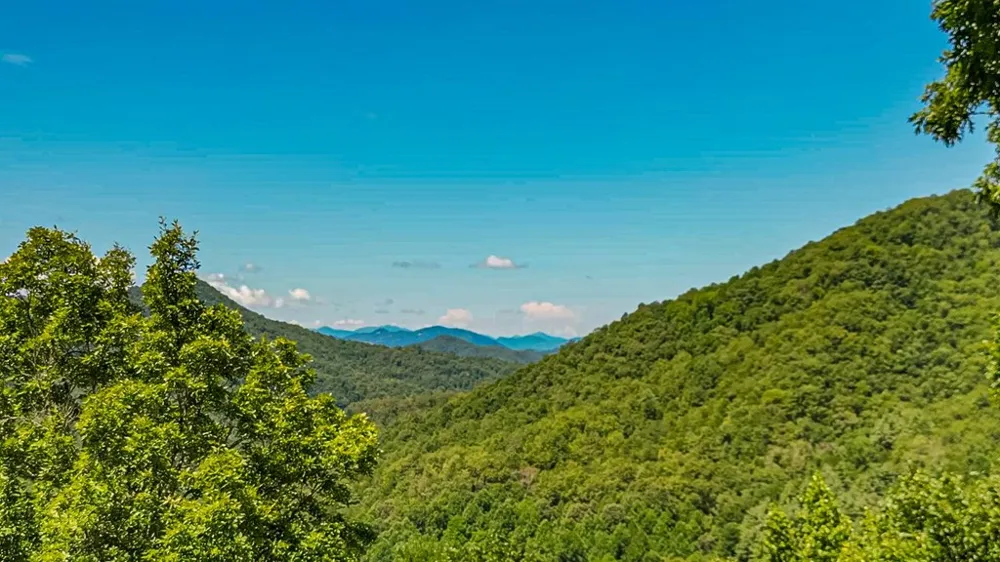 Bartlett Glen Cove Drive Bryson City, NC 28713