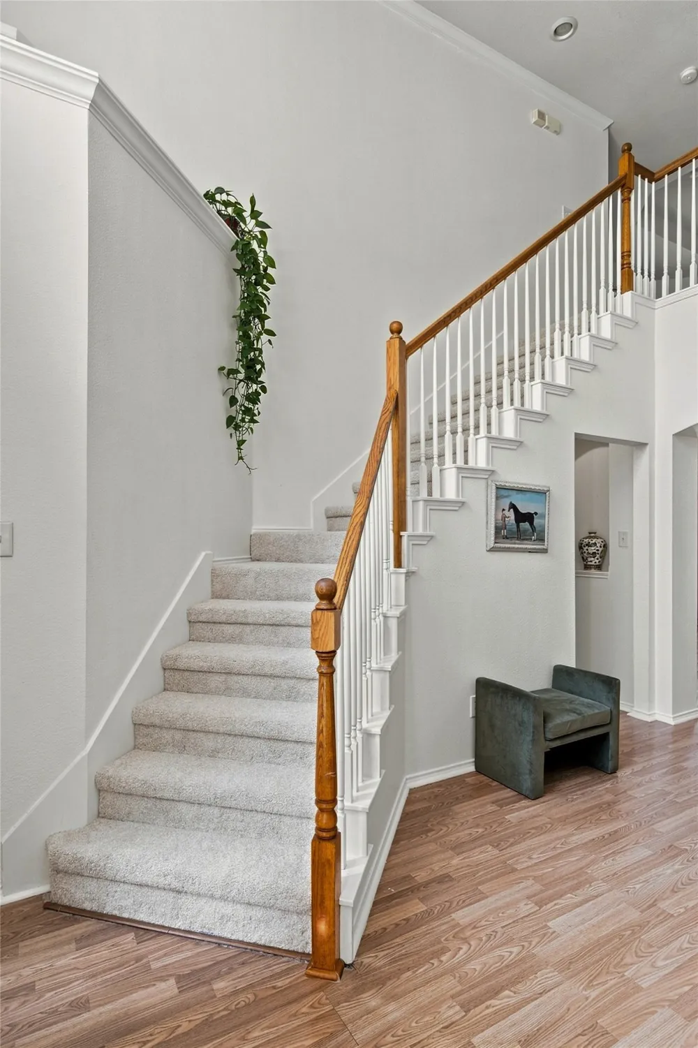 7112 Bryce Canyon Drive McKinney, TX 75072
