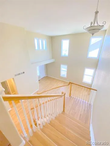 2661 Pemberly Avenue Highlands Ranch, CO 80126