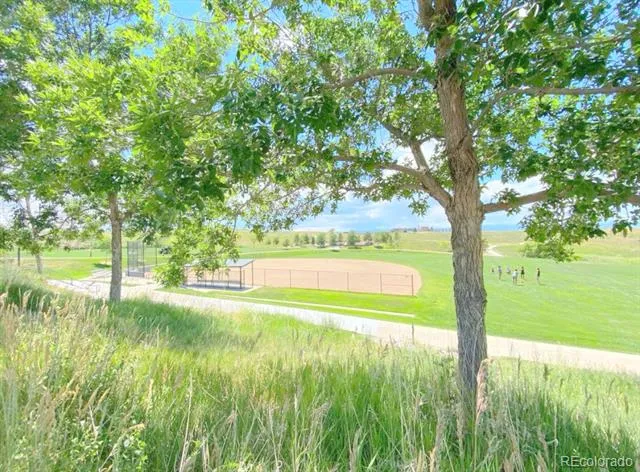2661 Pemberly Avenue Highlands Ranch, CO 80126