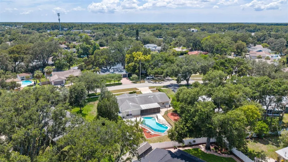 10603 ORANGE GROVE DRIVE Tampa, FL 33618