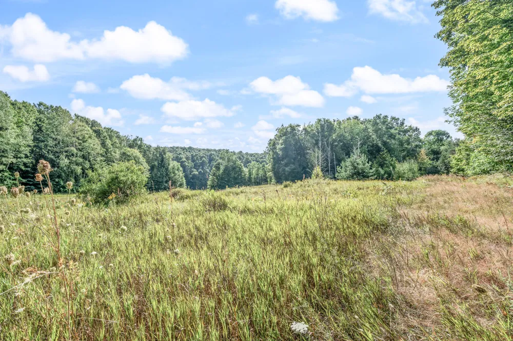 23413 Michigan 115 Tustin, MI 49688