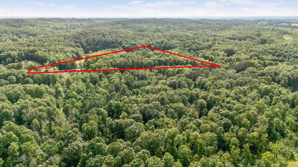23413 Michigan 115 Tustin, MI 49688