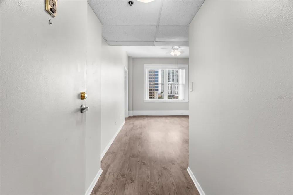 411 1ST AVENUE #713 St Petersburg, FL 33701