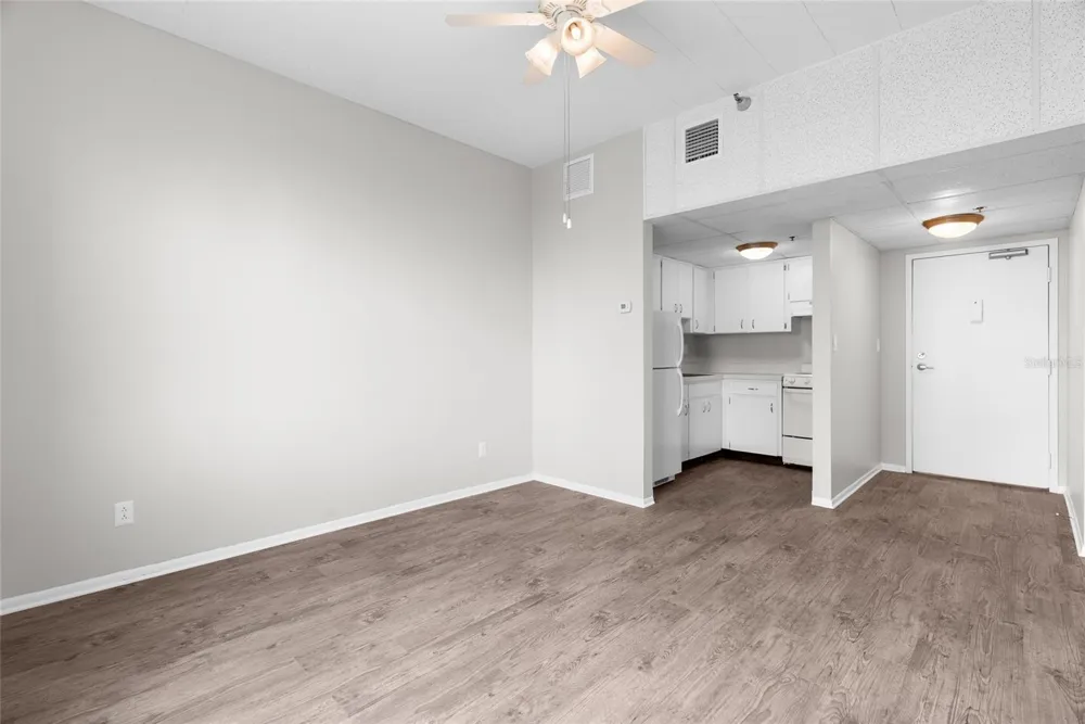 411 1ST AVENUE #713 St Petersburg, FL 33701