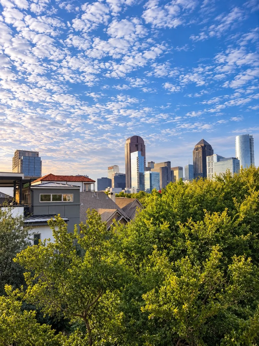 2305 Worthington Street #206A Dallas, TX 75204