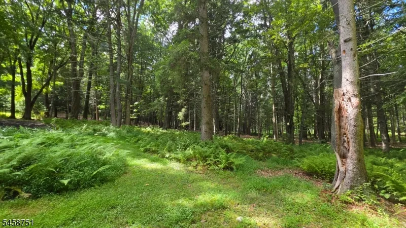 29 Millville Rd Montague, NJ 07827