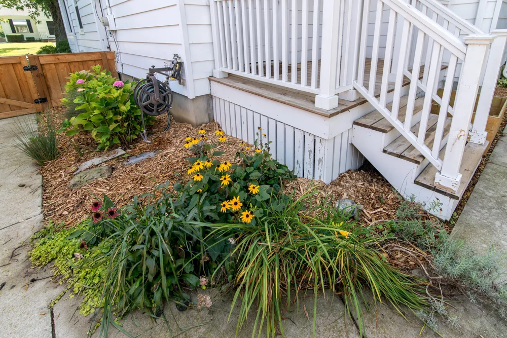 323 Lewis Street Saline City, MI 48176