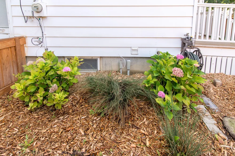 323 Lewis Street Saline City, MI 48176
