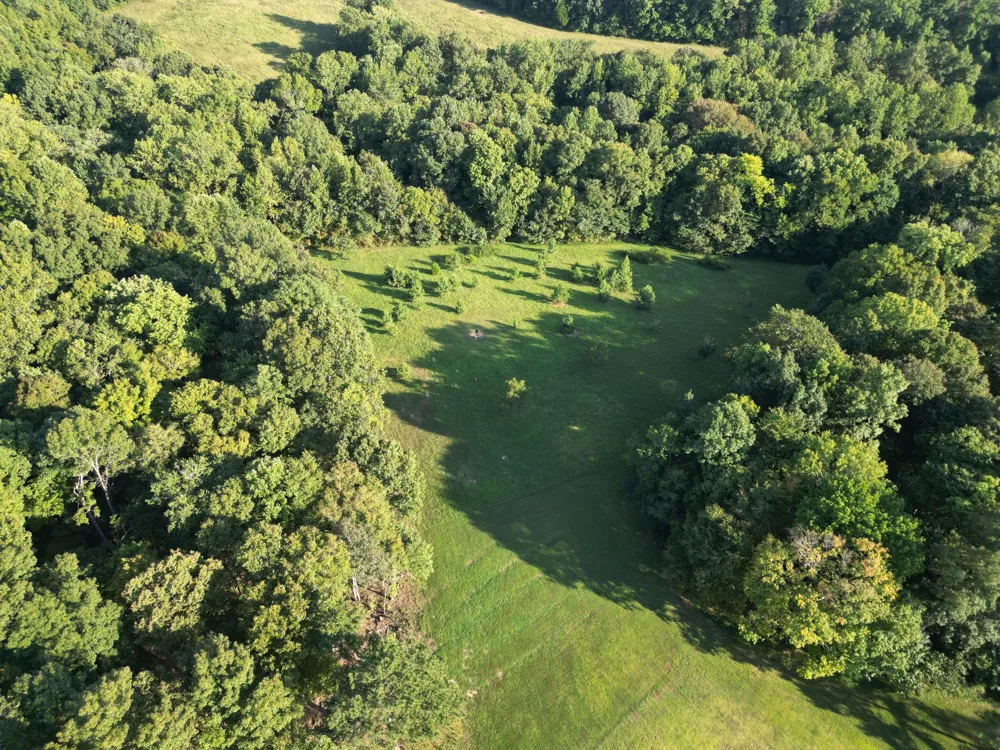 160 Turkey Ridge Rd Big Rock, TN 37023