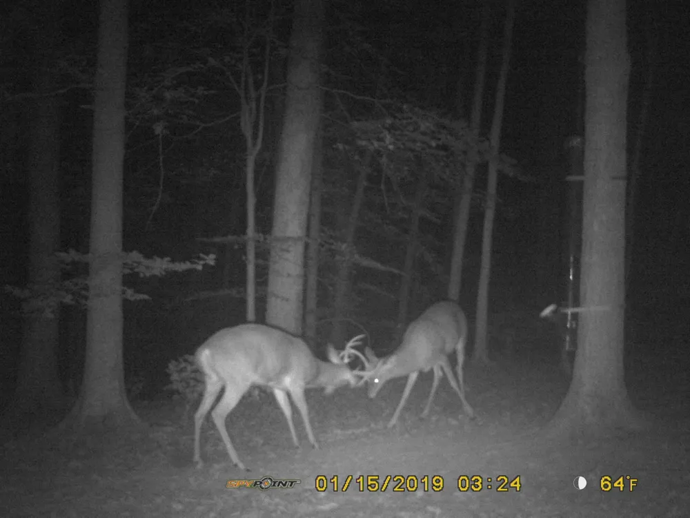 160 Turkey Ridge Rd Big Rock, TN 37023