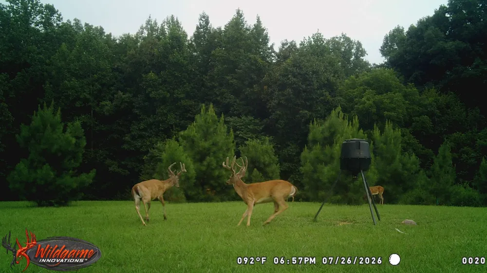 160 Turkey Ridge Rd Big Rock, TN 37023