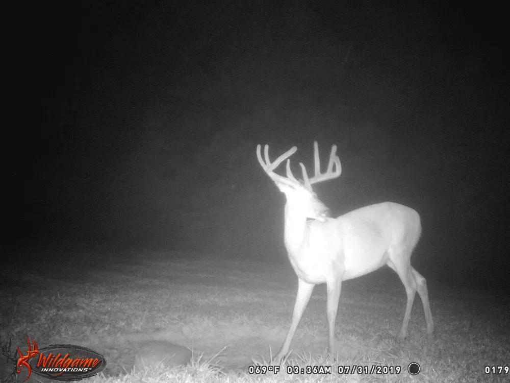 160 Turkey Ridge Rd Big Rock, TN 37023
