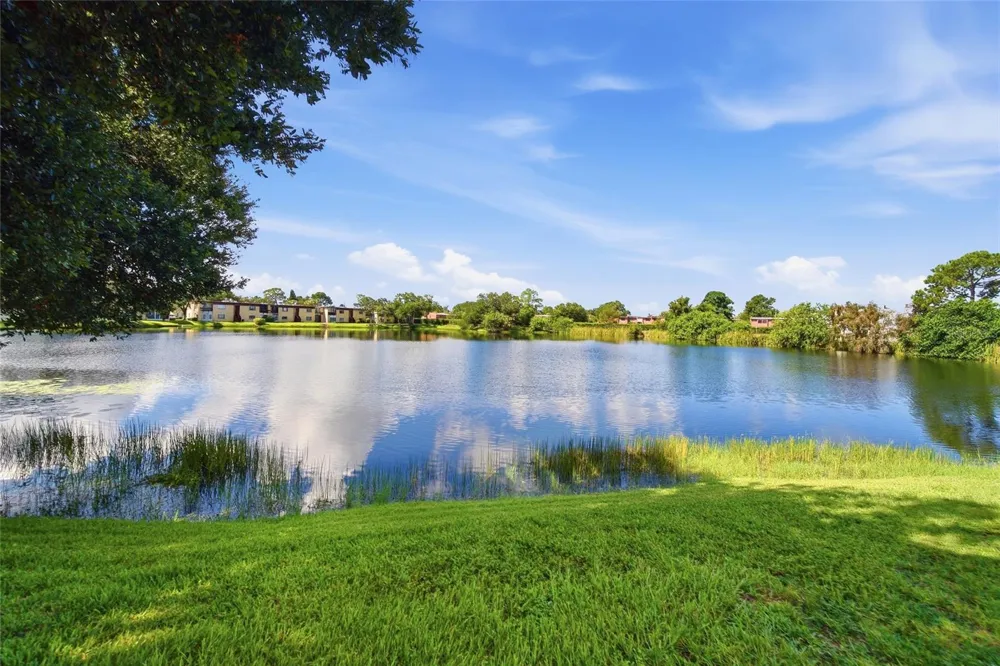 811 KEENE ROAD #V7 Clearwater, FL 33755