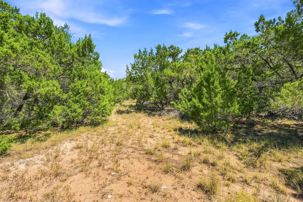 1 Lipan Run Fischer, TX 78623