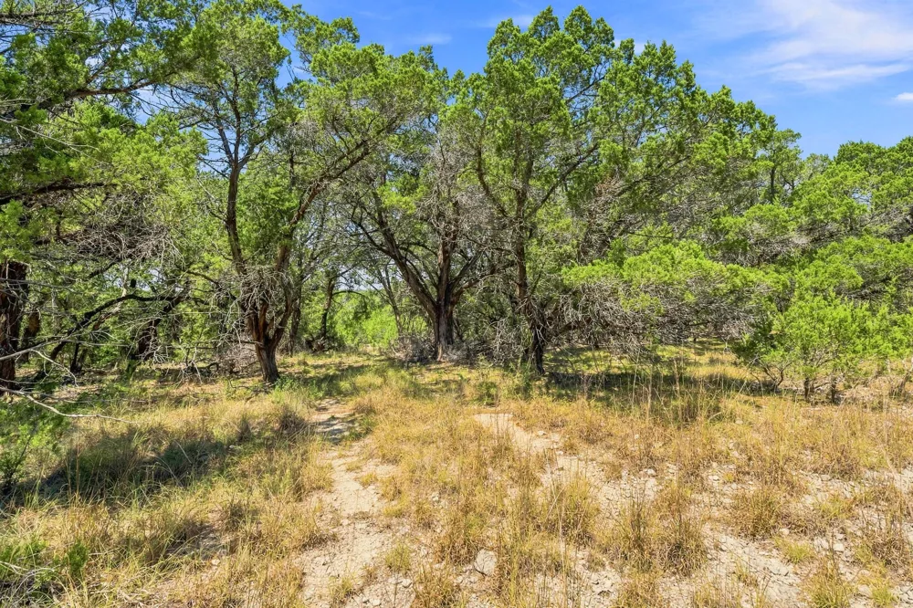 1 Lipan Run Fischer, TX 78623