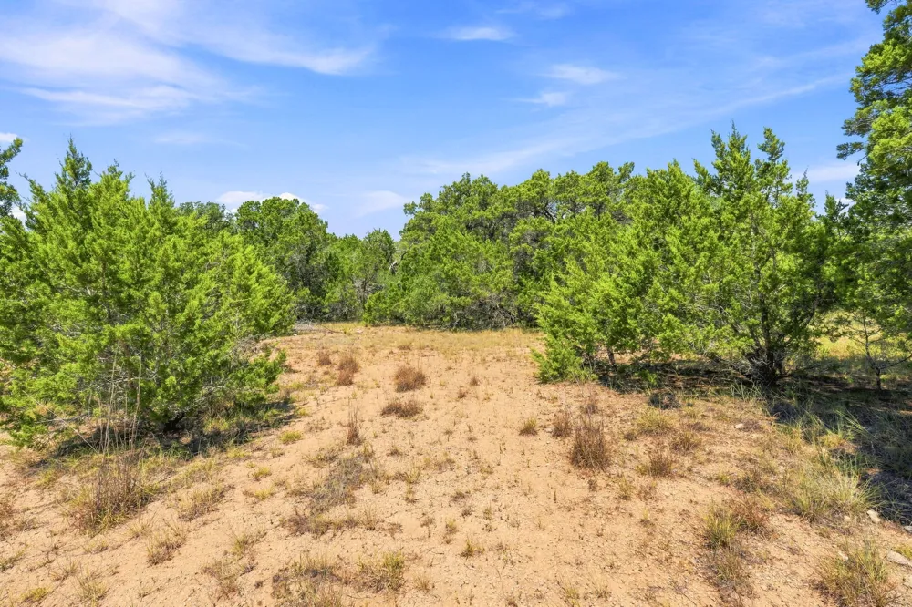 1 Lipan Run Fischer, TX 78623