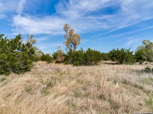 7991 Ranch Road 965 Fredericksburg, TX 78624