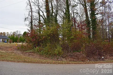 00 Horseshoe Lake Road