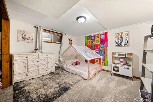 1933 County Road 782 Woodland Park, CO 80863