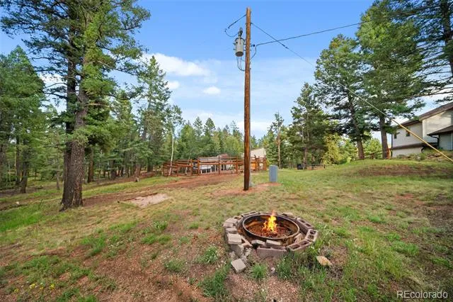 1933 County Road 782 Woodland Park, CO 80863