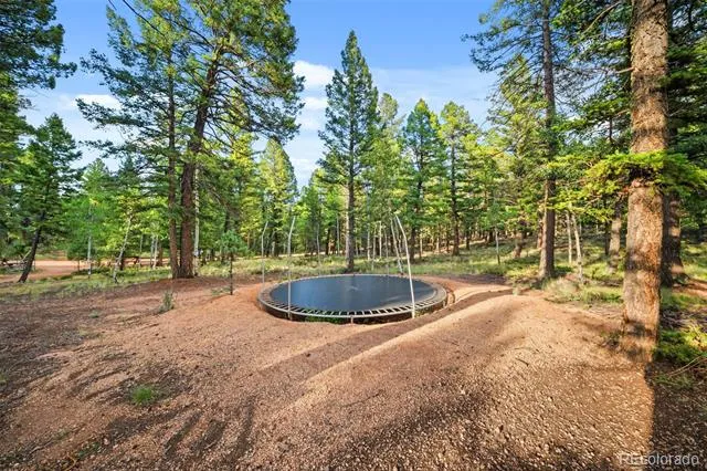 1933 County Road 782 Woodland Park, CO 80863
