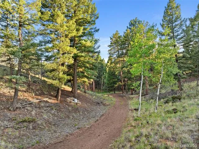 1933 County Road 782 Woodland Park, CO 80863