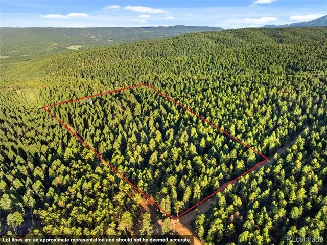 1933 County Road 782 Woodland Park, CO 80863