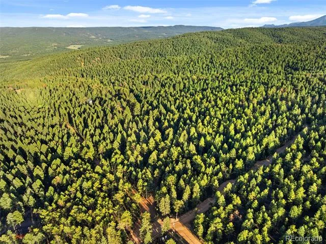 1933 County Road 782 Woodland Park, CO 80863