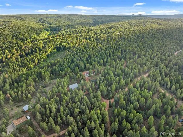 1933 County Road 782 Woodland Park, CO 80863