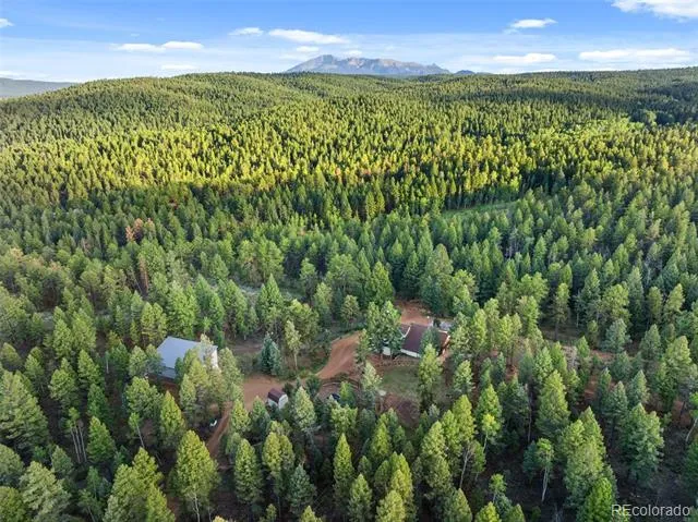 1933 County Road 782 Woodland Park, CO 80863