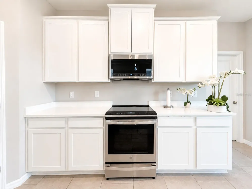 10345 BRIDGEGATE HEIGHTS LOOP San Antonio, FL 33576
