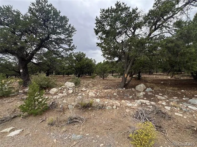 1917 Lone Pine Way Crestone, CO 81131