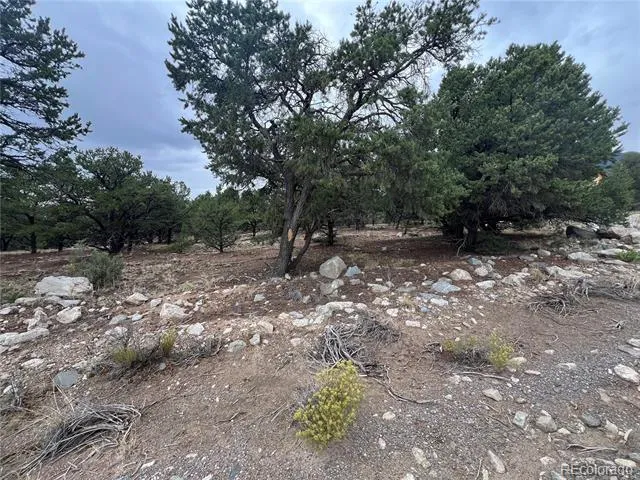 1917 Lone Pine Way Crestone, CO 81131