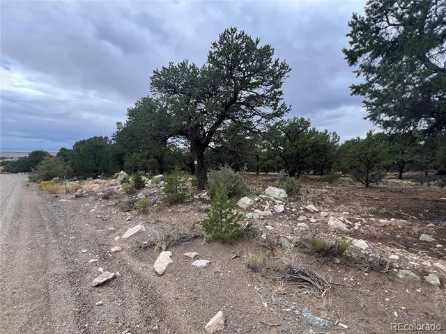 1917 Lone Pine Way Crestone, CO 81131