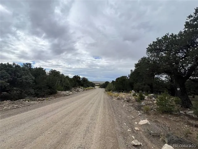 1917 Lone Pine Way Crestone, CO 81131