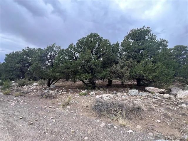 1917 Lone Pine Way Crestone, CO 81131