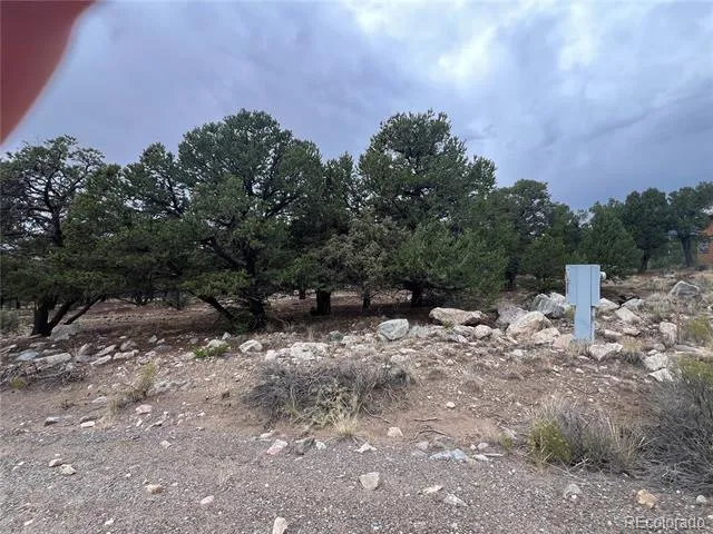 1917 Lone Pine Way Crestone, CO 81131