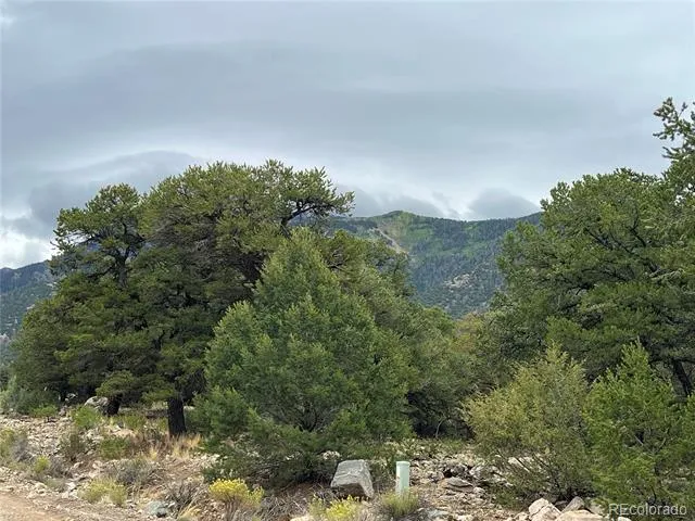 1917 Lone Pine Way Crestone, CO 81131