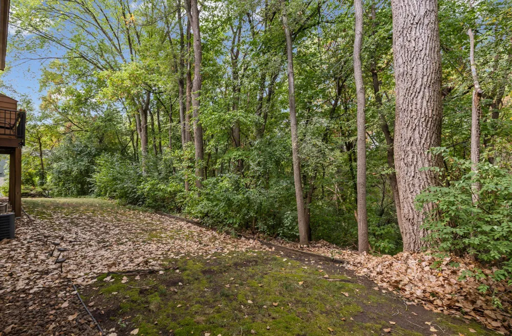 3253 Evergreen Drive Eagan, MN 55121