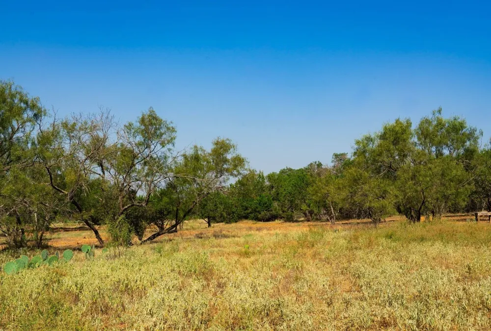 Old Ferry Road Spicewood, TX 78669