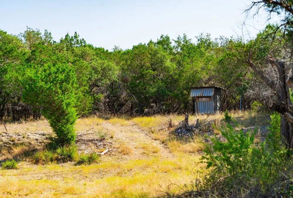 Old Ferry Road Spicewood, TX 78669