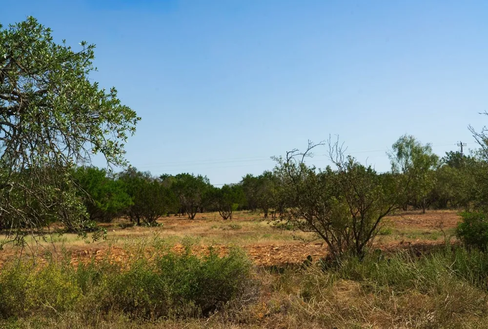 Old Ferry Road Spicewood, TX 78669