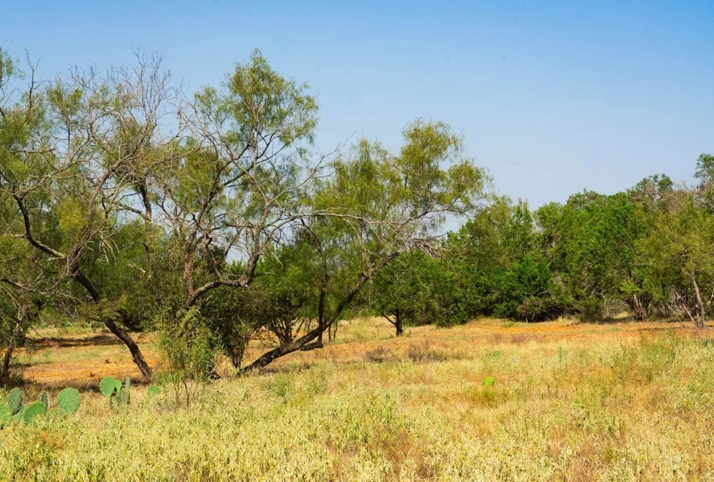 Old Ferry Road Spicewood, TX 78669