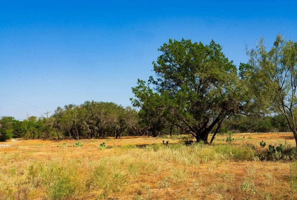 Old Ferry Road Spicewood, TX 78669