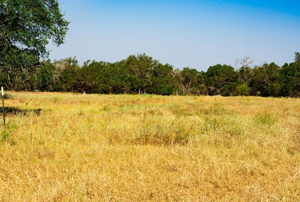 Old Ferry Road Spicewood, TX 78669