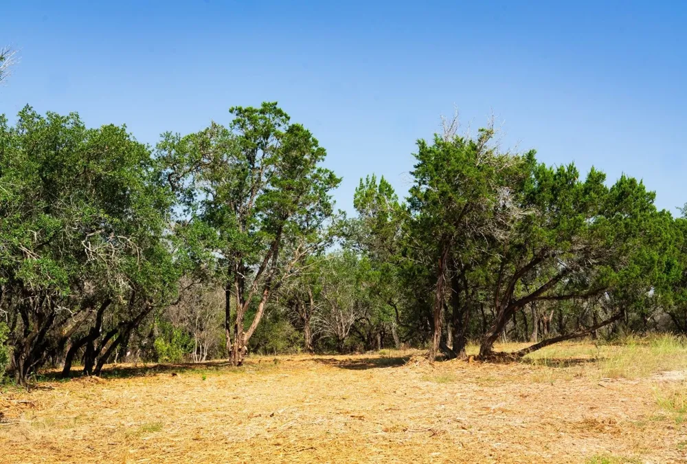 Old Ferry Road Spicewood, TX 78669