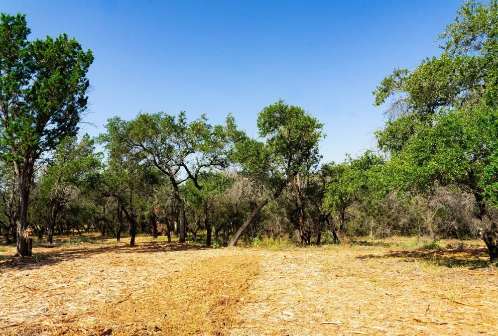 Old Ferry Road Spicewood, TX 78669