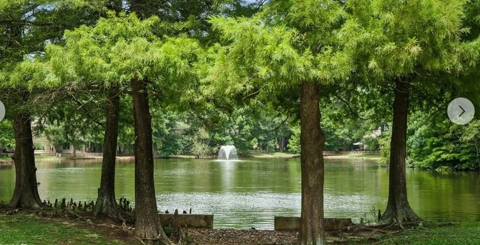259 E Rainbow Ridge Circle The Woodlands, TX 77381