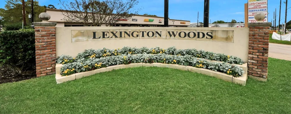 25514 Fairbrook Lane Spring, TX 77373